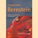 Faszination Bernstein: Kleinod aus der Wunderkammer der Natur door Günther Krumbiegel e.a.