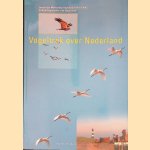 Vogeltrek over Nederland 1976-1993 door Rob Lensink