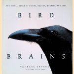 Bird Brains: The Intelligence of Crows, Ravens, Magpies, and Jays door Candace Savage