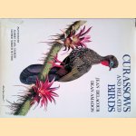 Curassows and Related Birds door Jean Delacour e.a.