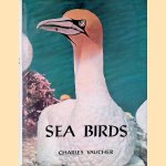 Sea Birds door Charles Vaucher