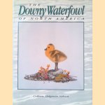 The Downy Waterfowl of North America door Colleen Helgeson Nelson