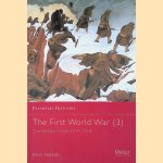 The First World War (3): The Western Front 1917-1918 door Peter Simkins