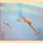 Dolphins door Ben Wilson