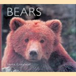 Bears door Lance Craighead