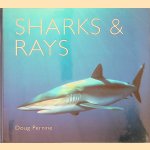 Sharks & Rays door Doug Perrine