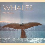 Whales door Phil Clapham
