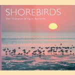 Shorebirds door D. B. A. Thompson e.a.