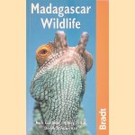 Madagascar Wildlife: A Visitor's Guide door Nick Garbutt e.a.