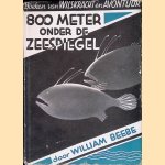 Acht honderd meter onder de zeespiegel door William Beebe