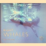 Right Whales door Phil Clapham