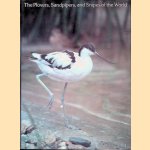 The Plovers, Sandpipers, and Snipes of the World door Paul A. Johnsgard