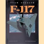 Team Stealth F-117 door Robert Shelton