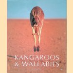 Kangaroos and Wallabies of Australia door Dave Watts