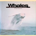 Whales and Whale Watching in Iceland door Mark Carwardine