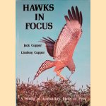 Hawks in Focus: A Study of Australia's Birds of Prey door Jack Cupper e.a.