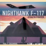 Nighthawk F-117 Stealth Fighter door Paul Crickmore e.a.