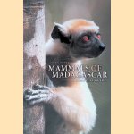 Mammals of Madagascar: A Complete Guide door Nick Garbutt