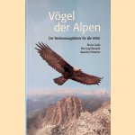 Vögel der Alpen: Der Bestimmungsführer für alle Arten door Bruno Caula e.a.