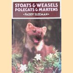 Stoats and Weasels, Polecats and Martens door Paddy Sleeman
