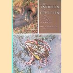De amfibieën en reptielen van Nederland, België en Luxemburg door Max Sparreboom