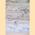 Een aangename onrust
Gerard Ouweneel
€ 8,00 Een aangename onrust
Gerard Ouweneel
€ 8,00