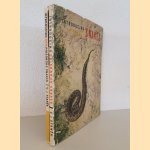 Introducing Non-Poisonous Snakes; Introducing Snakes (2 volumes) door V. J. Stanek
