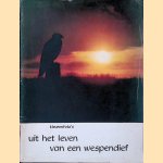 Uit het leven van een wespendief: Kleurenfoto's door Kleurenfoto's