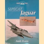 Sepecat Jaguar door Andy Evans