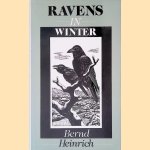 Ravens in Winter
Bernd Heinrich
€ 17,50 Ravens in Winter
Bernd Heinrich
€ 17,50