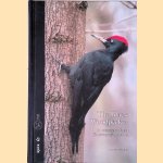 The Black Woodpecker: A Monograph on Dryocopus Martius
Gerard Gorman
€ 20,00 The Black Woodpecker: A Monograph on Dryocopus Martius
Gerard Gorman
€ 20,00