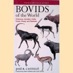 Bovids of the World: Antelopes, Gazelles, Cattle, Goats, Sheep, and Relatives
José R. Castelló
€ 20,00 Bovids of the World: Antelopes, Gazelles, Cattle, Goats, Sheep, and Relatives
José R. Castelló
€ 20,00