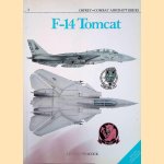 F-14 Tomcat door Lindsay Peacock