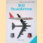 B-52 Stratofortress door Lindsay Peacock
