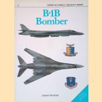 B-1B Bomber door Lindsay T. Peacock