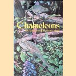 Chameleons: The Little Lions of the Reptile World door Jeanne Cowden