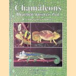 Chamäleons: Drachen unserer Zeit
Wolfgang Schmidt e.a.
€ 8,00 Chamäleons: Drachen unserer Zeit
Wolfgang Schmidt e.a.
€ 8,00
