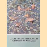 Atlas van de Nederlandse amfibieën en reptielen en hun bedreiging: 5e herpetogeografisch verslag door Wim Bergmans e.a.