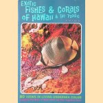 Exotic Fishes & Corals of Hawaii & the Pacific: 80 views in living undersea color
Doug Wallin
€ 20,00 Exotic Fishes & Corals of Hawaii & the Pacific: 80 views in living undersea color
Doug Wallin
€ 20,00