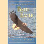 The Return of the Bald Eagle door Priscilla Tucker