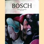 Jheronymus Bosch rond 1450-1516: Tussen hemel en hel door Walter Bosing