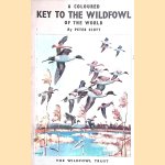 A Coloured Key to the Wildfowl of the World
Peter Scott
€ 6,00 A Coloured Key to the Wildfowl of the World
Peter Scott
€ 6,00