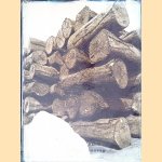 Hout: soorten, groei, toepassing
F. Rutten
€ 25,00 Hout: soorten, groei, toepassing
F. Rutten
€ 25,00