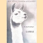Lamas door Ingo Krumbiegel