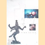 Tempus Fugit: Time Flies door Jan Schall