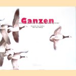 Ganzen: grazers op trek langs de vorstgrens
Bart Ebbinge
€ 10,00 Ganzen: grazers op trek langs de vorstgrens
Bart Ebbinge
€ 10,00