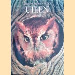 Uilen door Paul Sterry