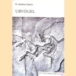 Urvögel: Archaeopterygiformes door Burkhard Stephan
