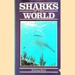 Sharks of the World door Rodney Steel