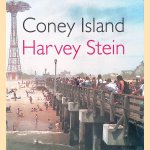 Coney Island door Harvey Stein